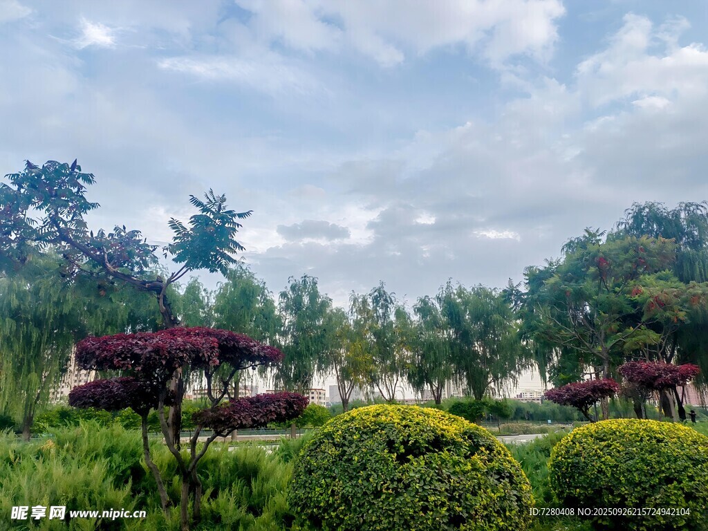 美丽园林景观天空