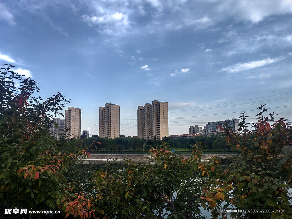 秋日城市与繁茂植被景观