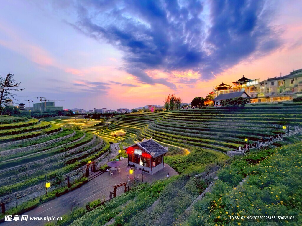 夕阳下的美丽梯田景观