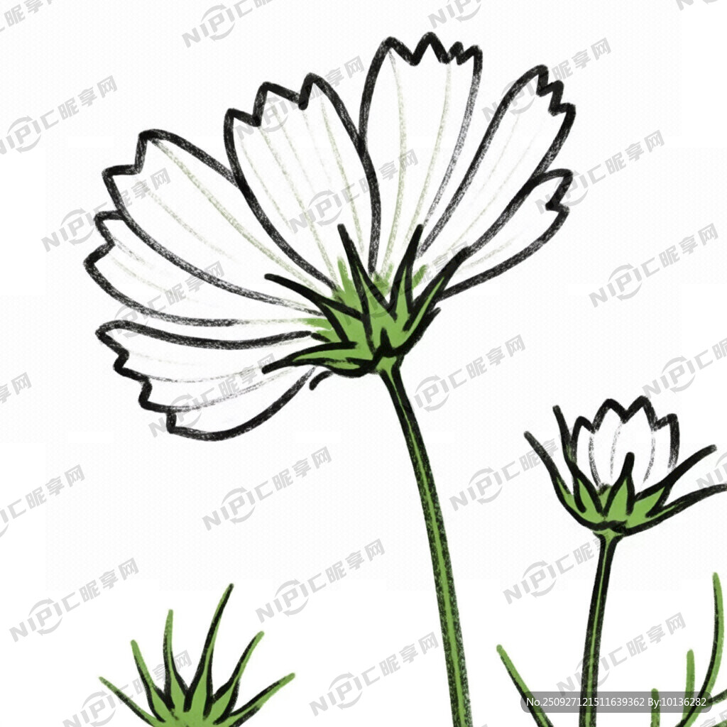 格桑花简笔画