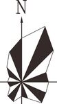 风玫瑰 N