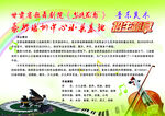音乐美术招生彩页