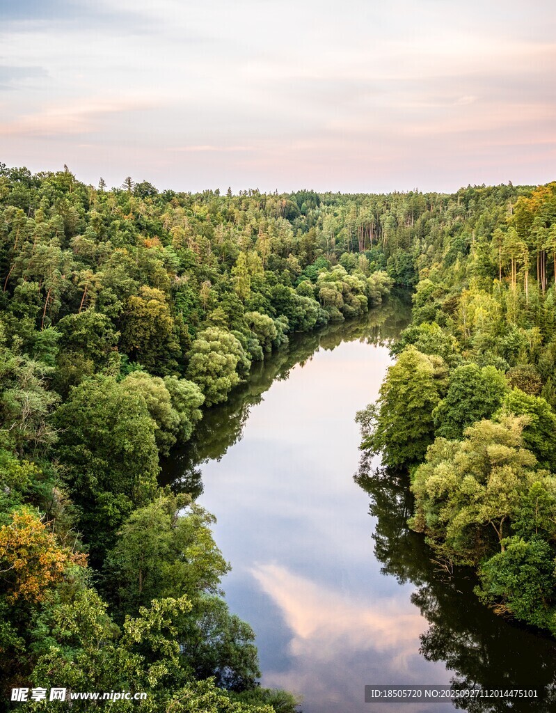 河畔森林美景