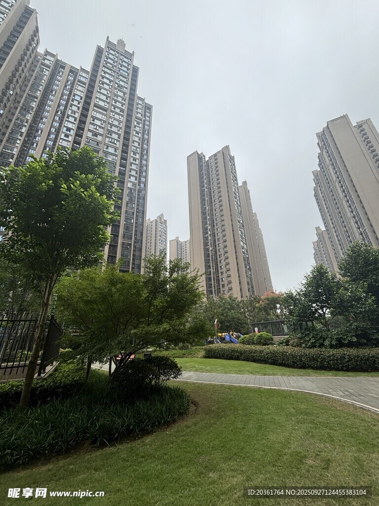 城市中的绿草高楼景观