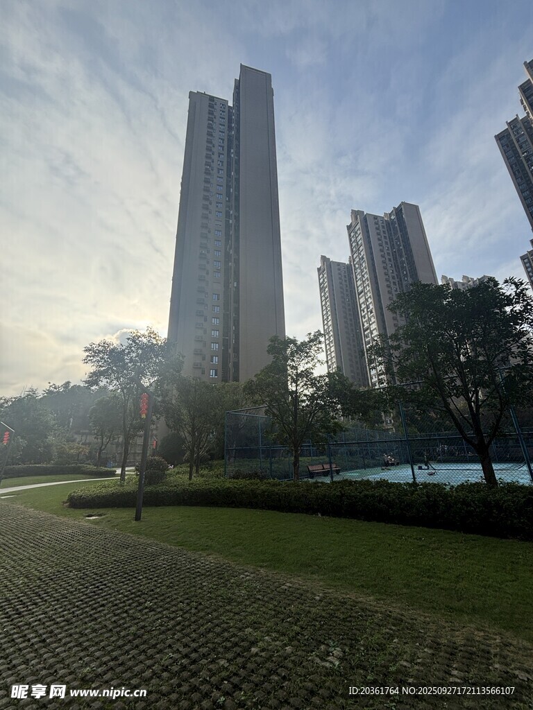 城市公园旁的摩天高楼景观