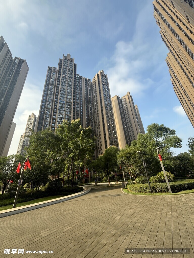 城市高楼旁的开阔绿地