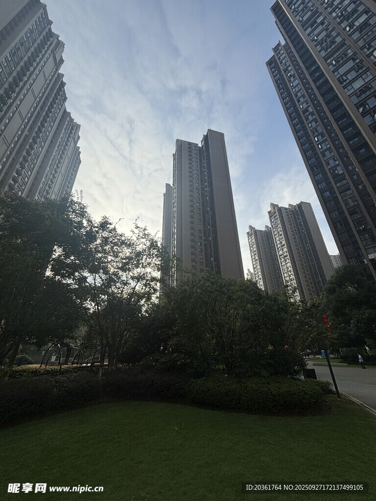城市中高楼与绿地景观