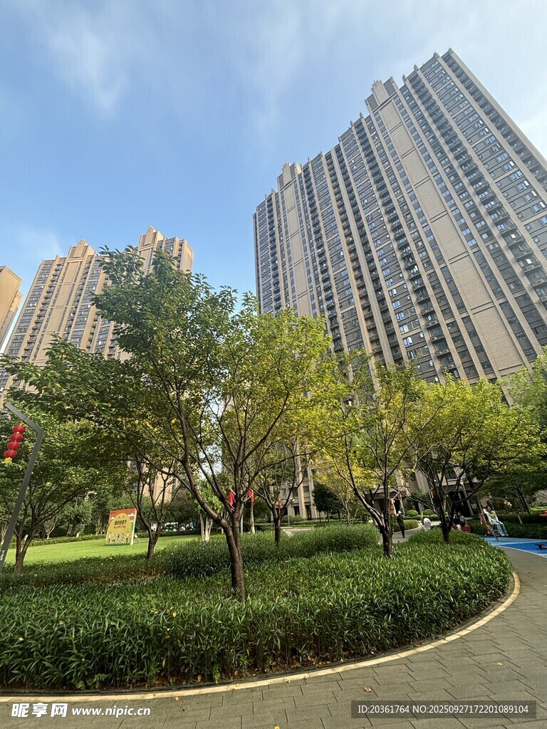 城市中林立的高楼与绿植