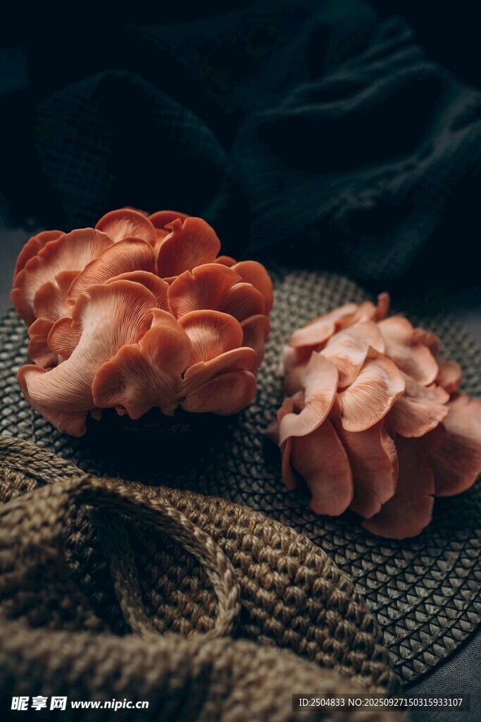两朵别致的红色菌类