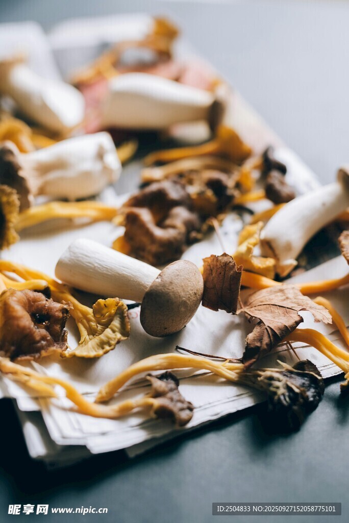 美味多样的蘑菇拼盘