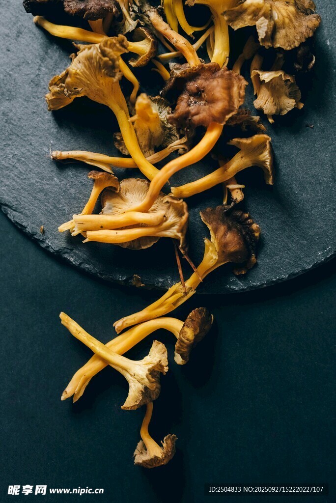 黑盘上的美味鸡油菌