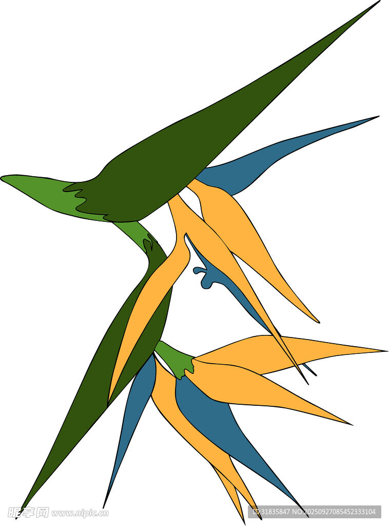 优雅天堂鸟花插画