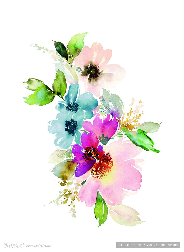 水彩花卉插画