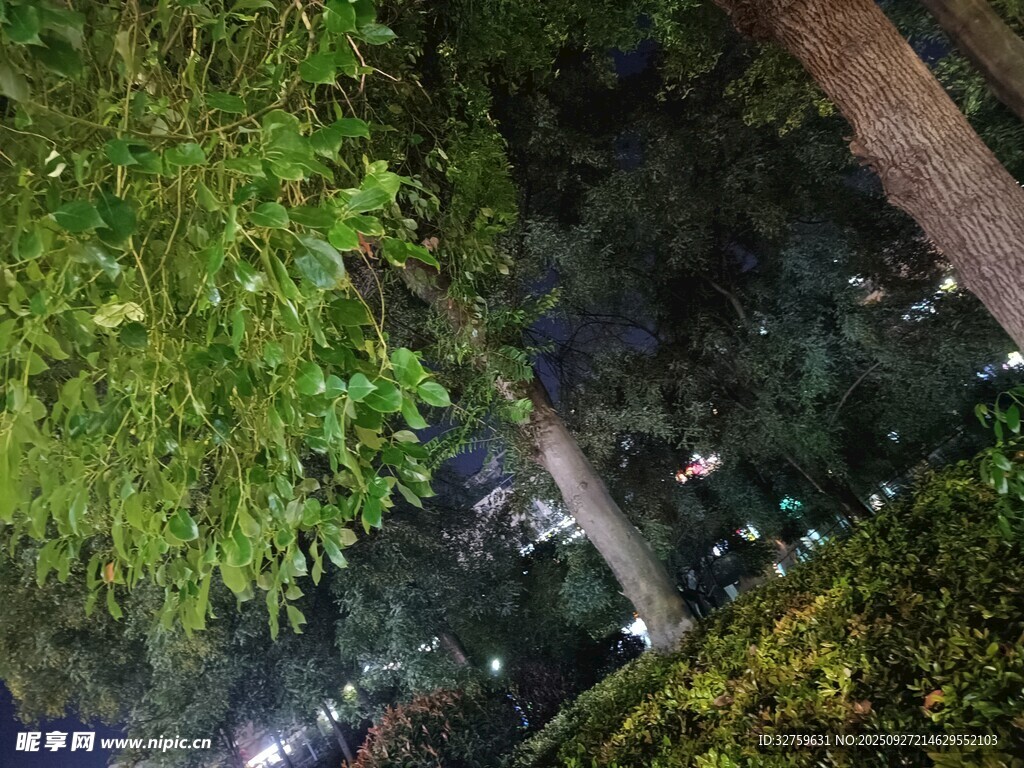 俯瞰绿植环绕的隐秘空间