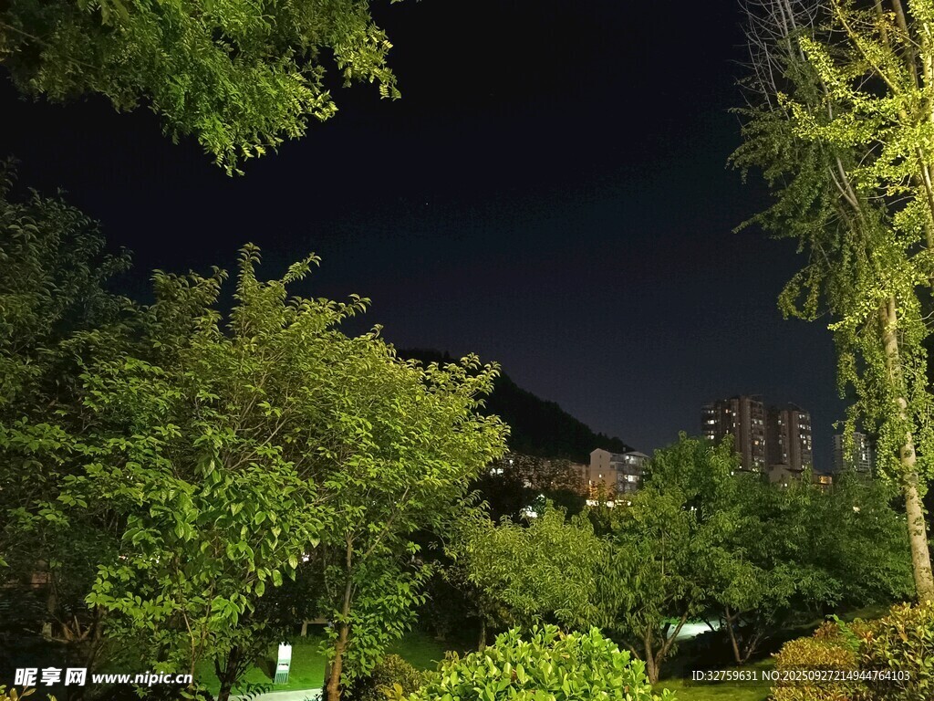 夜晚园林绿植景观