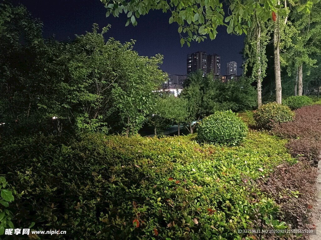 夜晚园林绿植景观