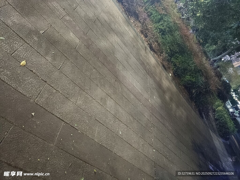 俯瞰户外地面及绿植景观