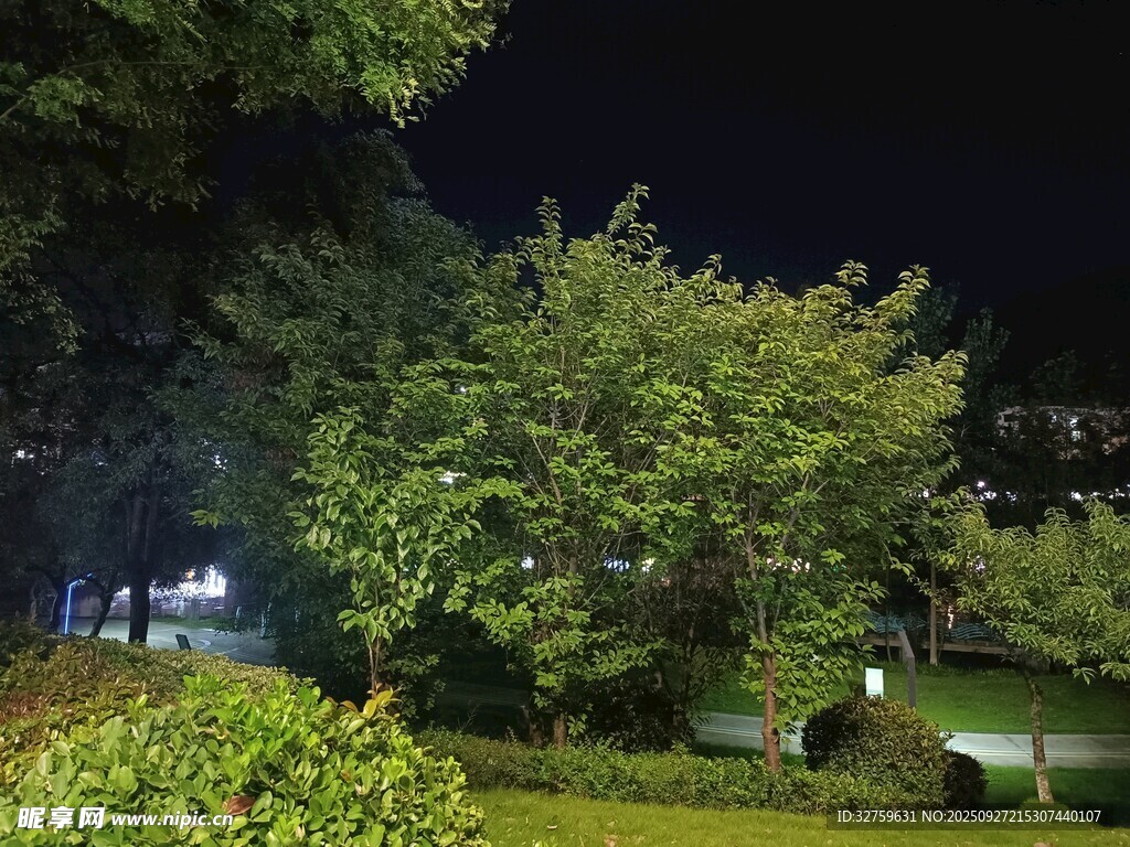 夜晚园林绿植景观