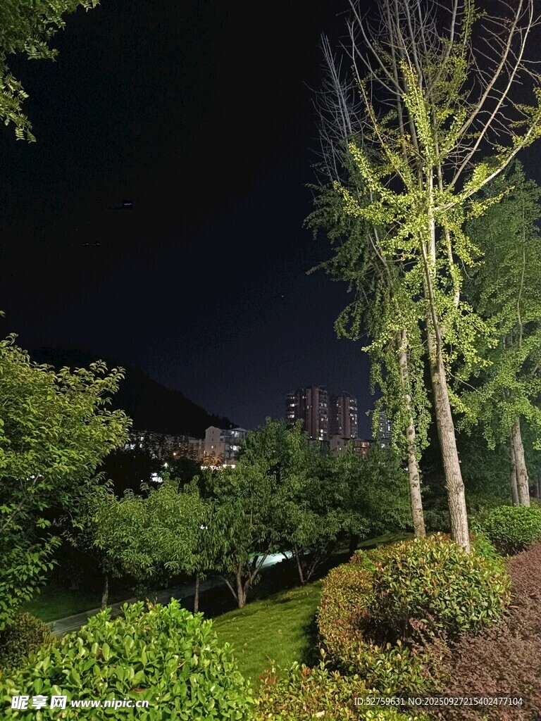 夜晚园林绿植景观