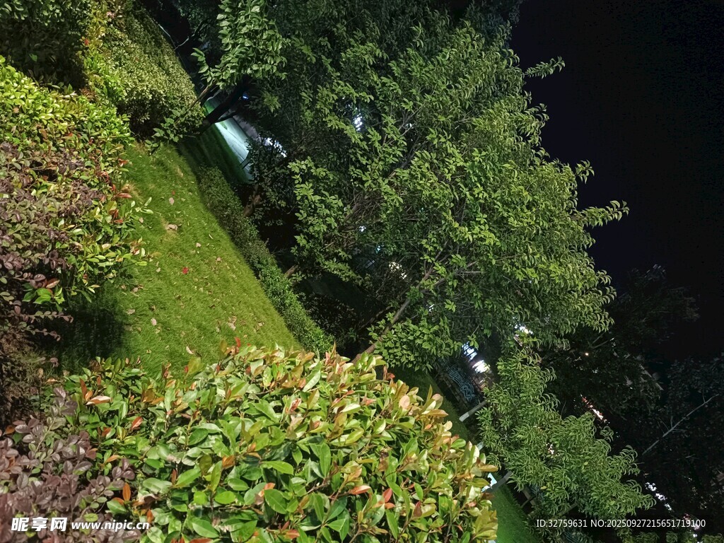 夜晚园林绿植景观