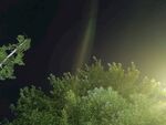 夜空中的树梢与神秘光线