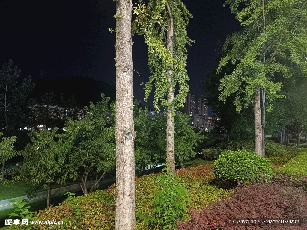夜晚园林景观 