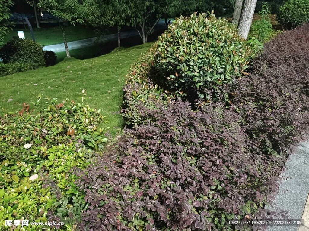 路边多彩绿植景观