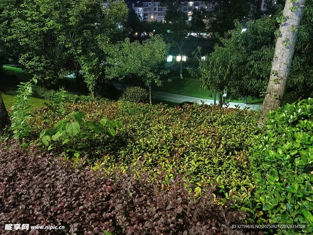 多彩绿植景观