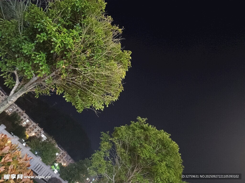 夜晚河畔绿树俯瞰美景