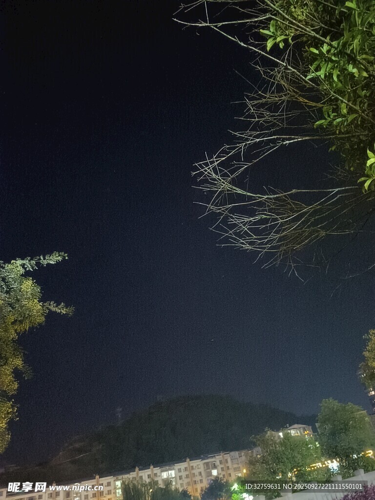 夜晚树梢与朦胧天空景象