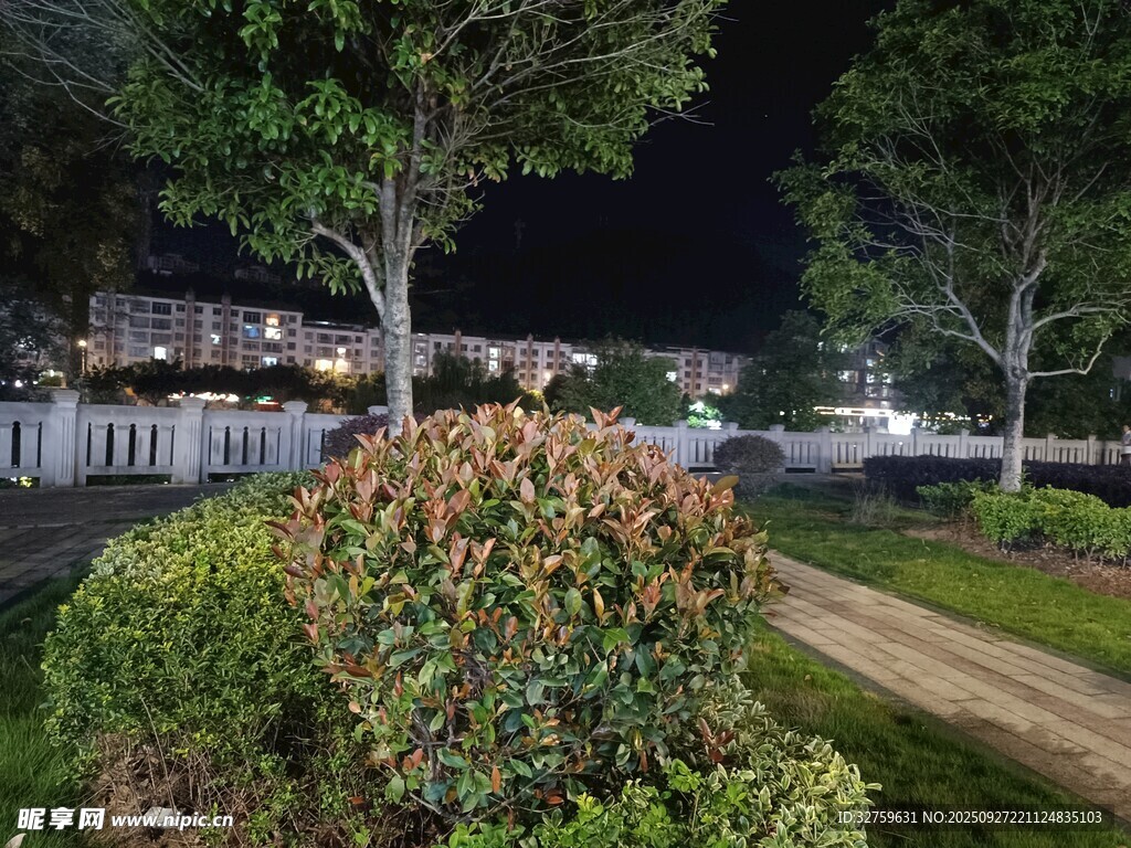 夜晚小区绿植景观