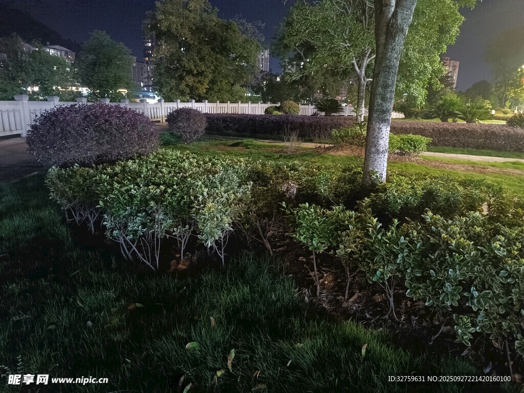 夜晚城市绿化带景观