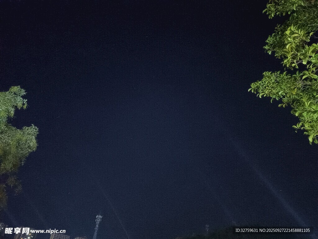夜晚林间朦胧景象