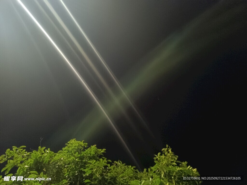 夜空光束穿透绿意森林