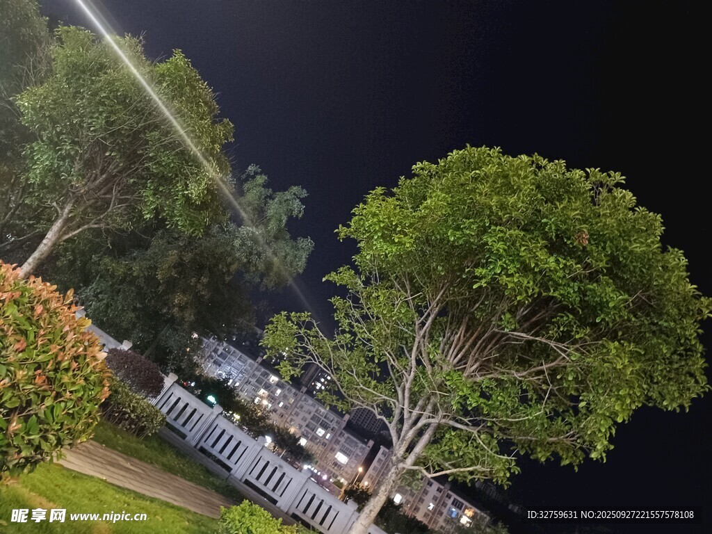 夜晚公园绿树与远处灯光