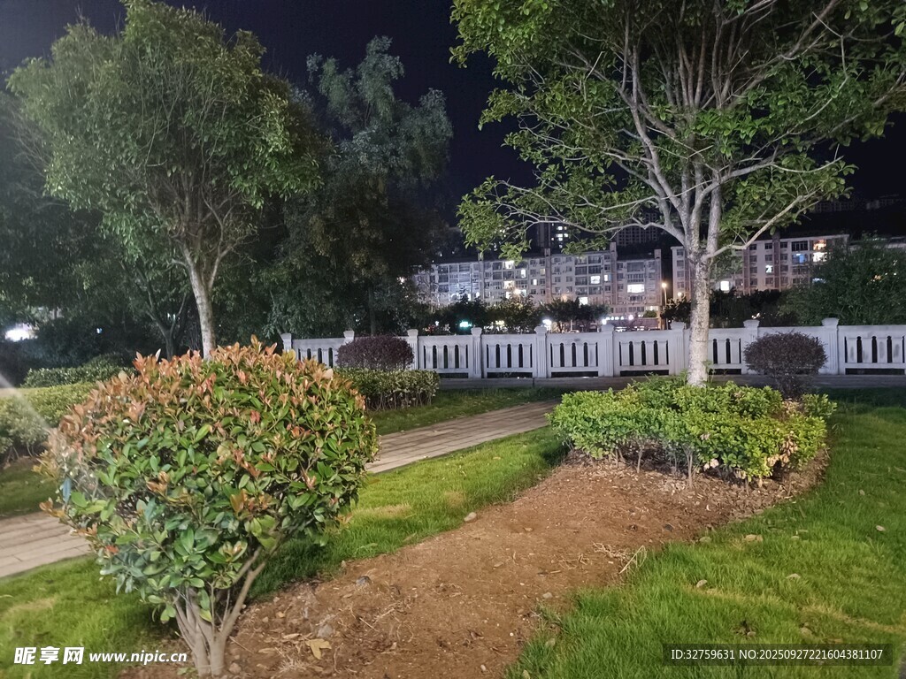 夜晚庭院绿植景观