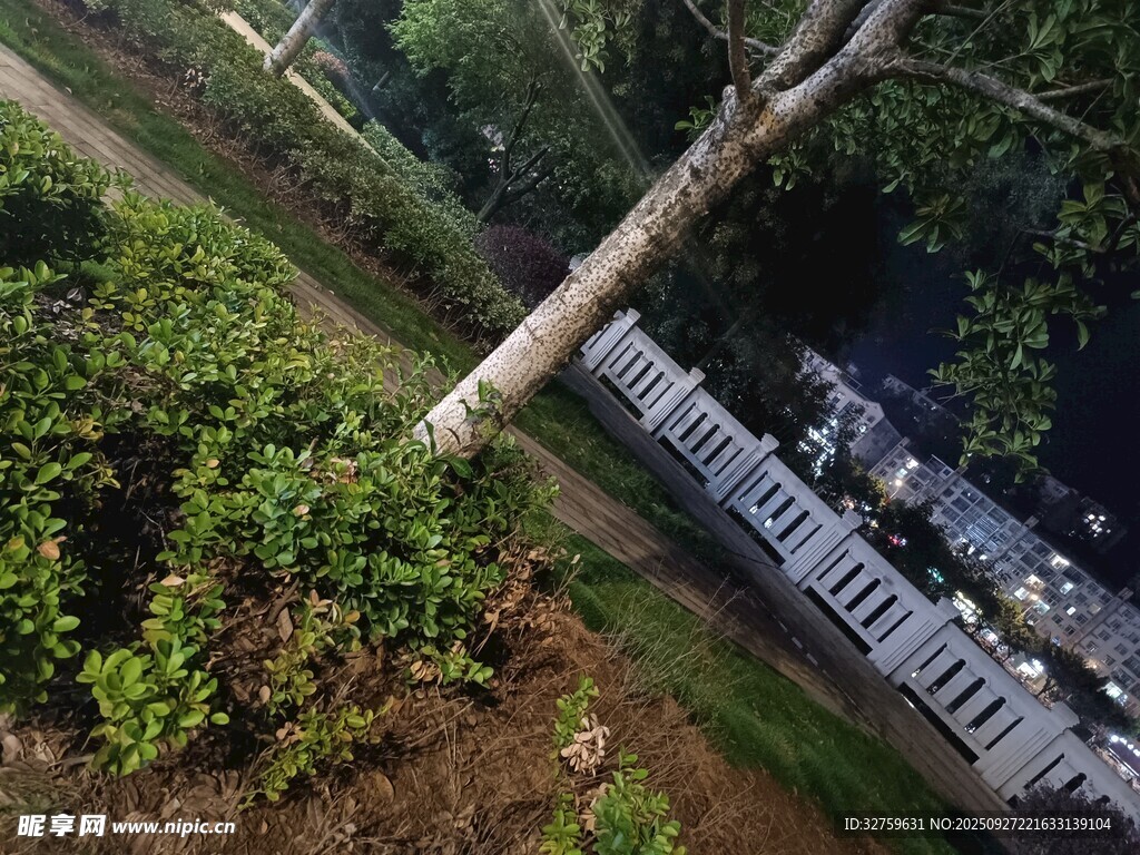 俯瞰绿树环绕的围栏景致