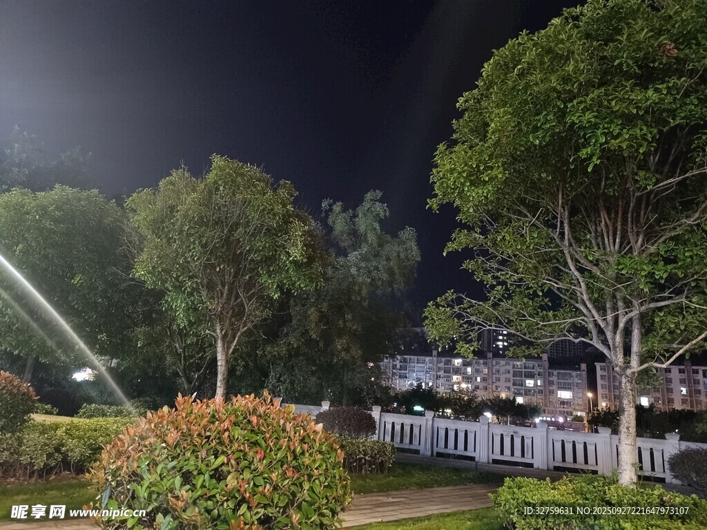 夜晚庭院绿植景观