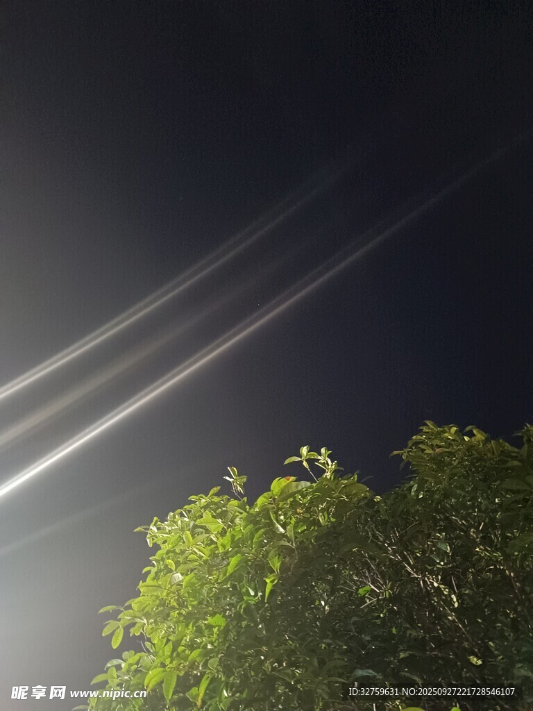 夜空下的树与飞机尾迹