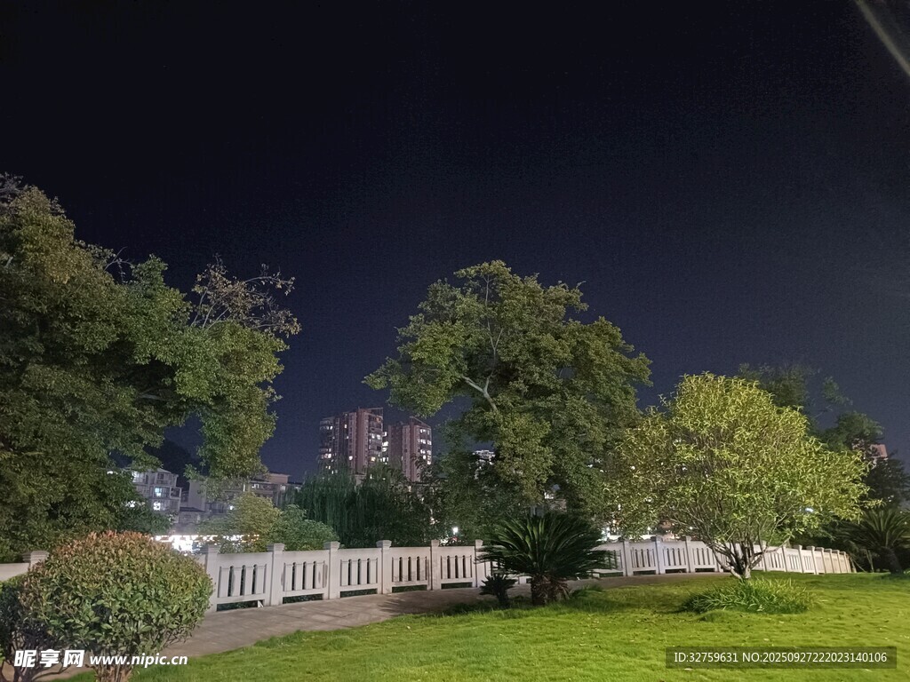 夜晚公园绿植与远处建筑
