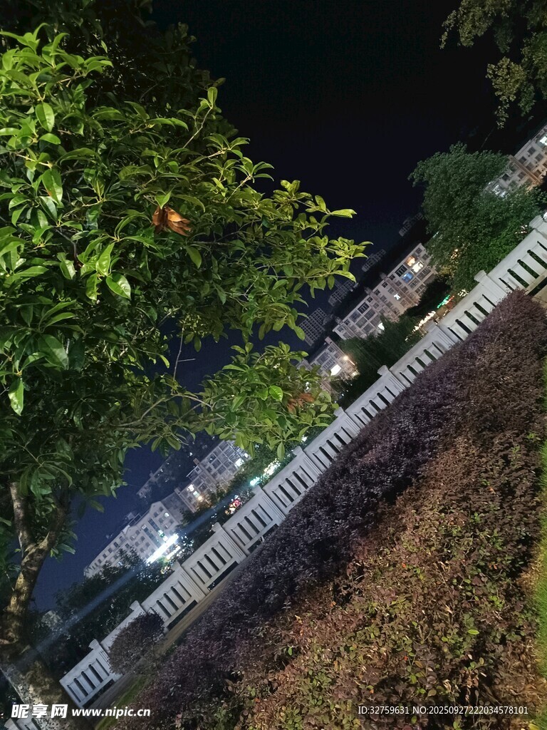夜晚围栏旁的绿植景象