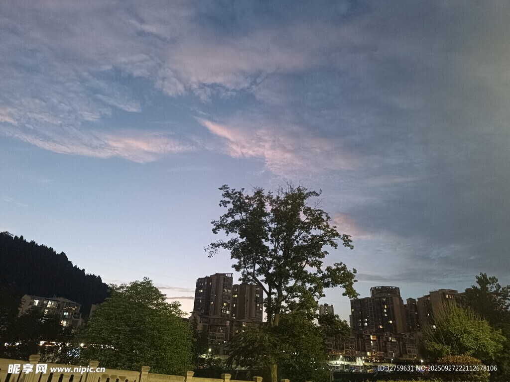 黄昏下的城市与树木景观
