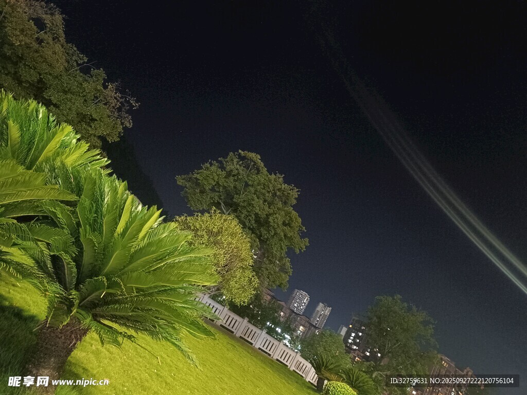 夜晚绿植景观