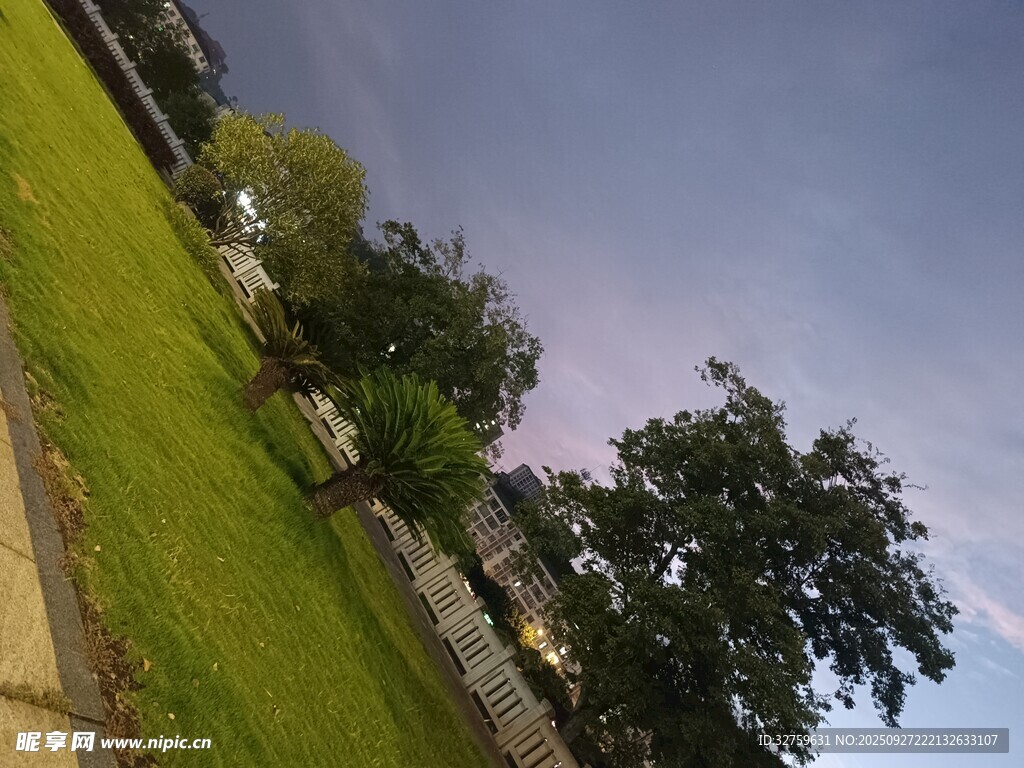 黄昏下的草地与树木景观