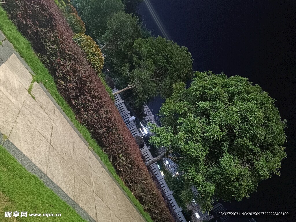 俯瞰城市绿植与道路景观
