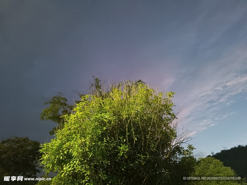 蓝天绿树间的清新景致