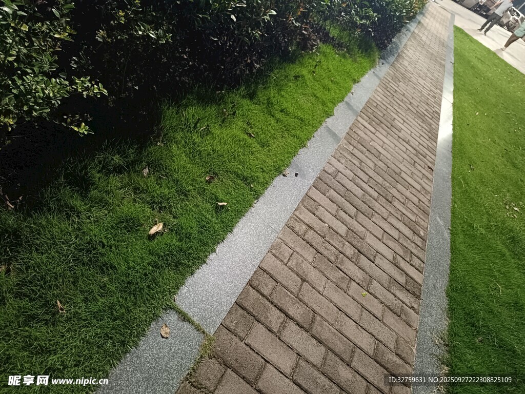 砖砌小径旁的绿意风景