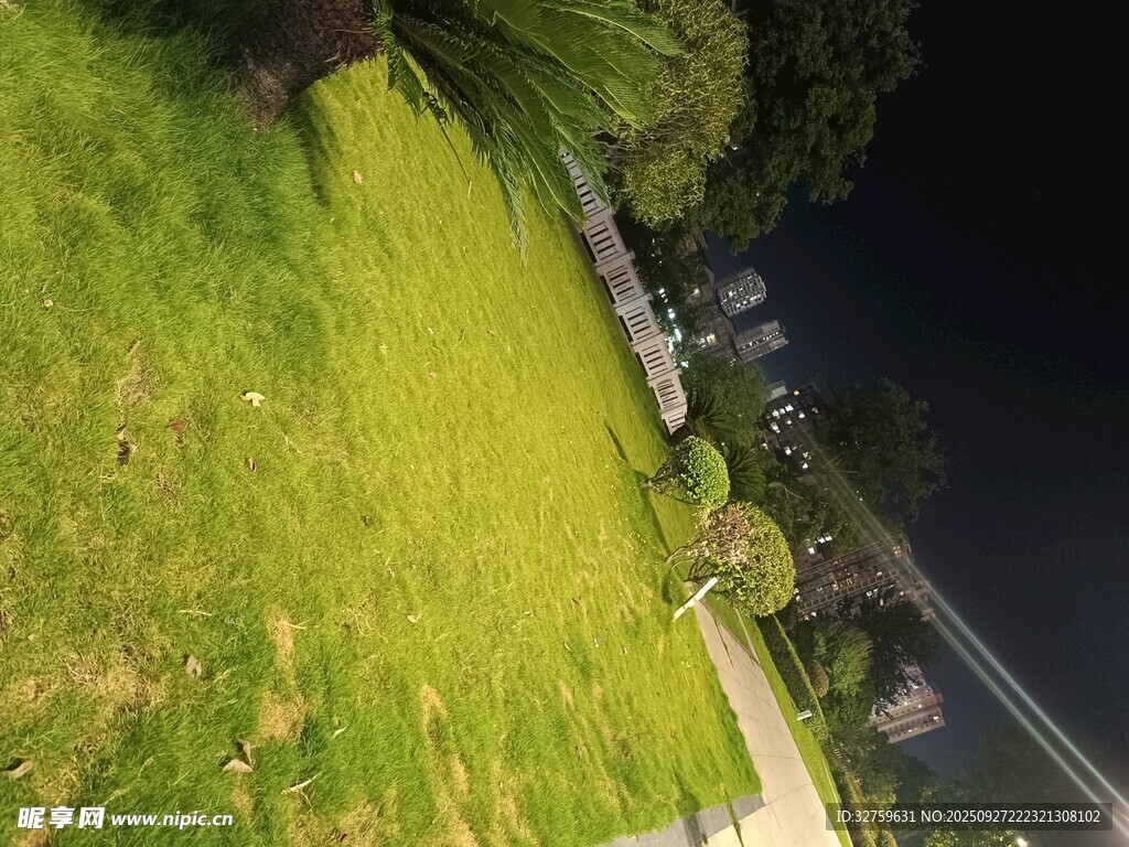 夜晚河畔的翠绿草地