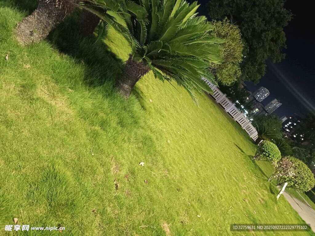 绿意盎然的草地与树木