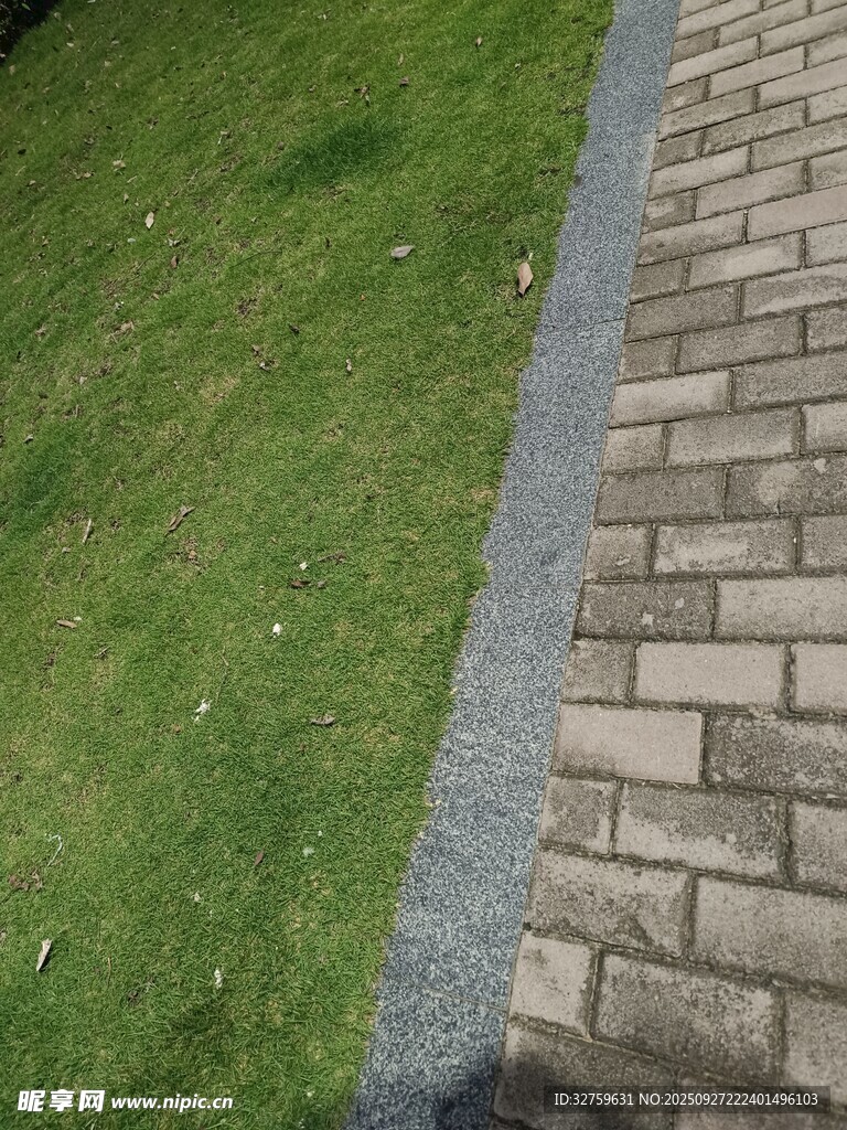 砖砌边缘的翠绿草坪